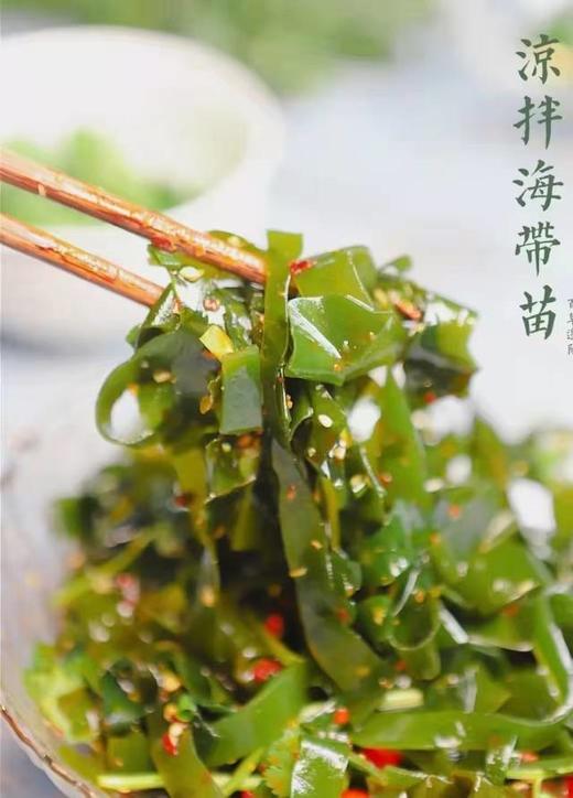 猫太推荐---宁德霞浦海带苗！（3斤） 商品图4