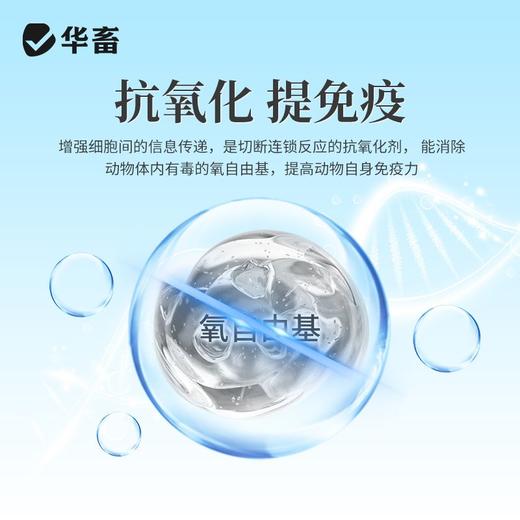 兽用β-胡萝卜素微粒粉禽畜鸡鸭鹅奶羊奶牛母猪种禽饲料添加剂 商品图2