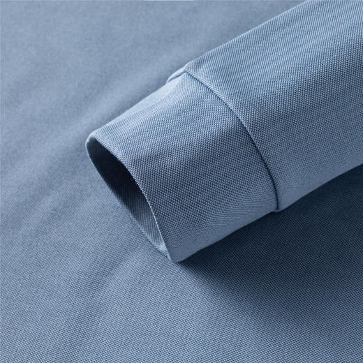 罗蒙男士Polo衫秋冬保暖含羊毛蚕丝双面磨毛时尚凹凸工艺polo衫男长袖t恤男 商品图8