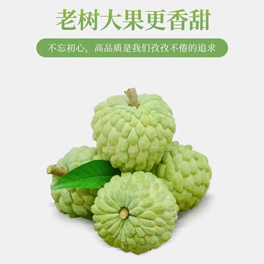 释迦果 云南蜜境【西双版纳】（超大果） | 国产水果 商品图1