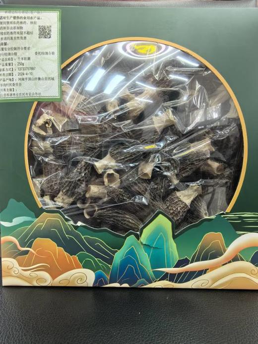 【鲁山】羊肚菌250g 商品图0