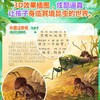 注音版法布尔昆虫记-10册 商品缩略图1