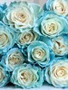 厄瓜多尔进口染色玫瑰sky blue冰雪公主10支 商品缩略图3