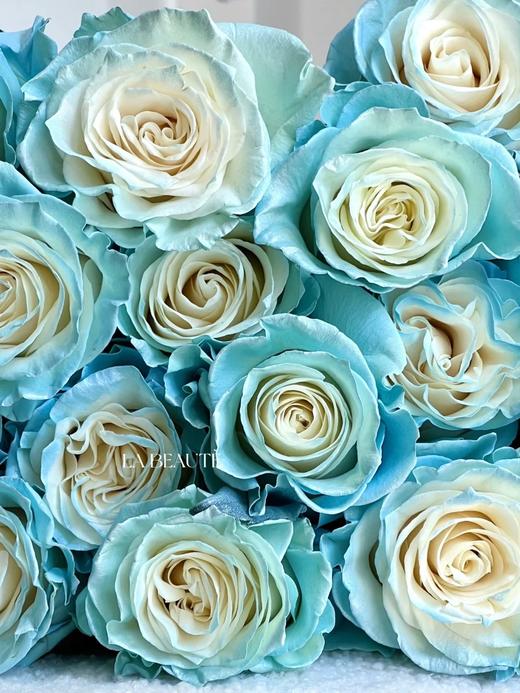 厄瓜多尔进口染色玫瑰sky blue冰雪公主10支 商品图3