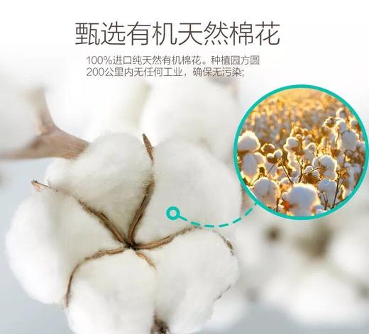 【12.7积分当钱花】德国品牌长导管卫生棉条8支装*3盒  普通流量/大流量 商品图4