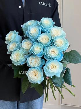 厄瓜多尔进口染色玫瑰sky blue冰雪公主10支