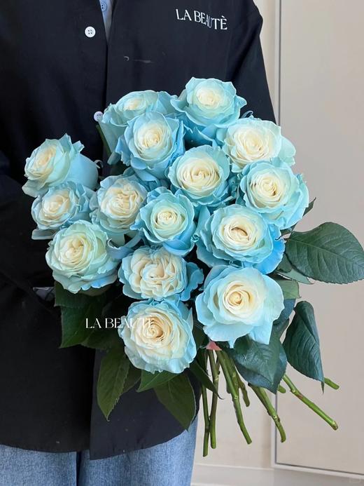 厄瓜多尔进口染色玫瑰sky blue冰雪公主10支 商品图0