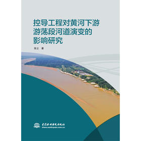 控导工程对黄河下游游荡段河道演变的影响研究