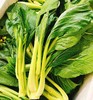 连州迟菜心  |蔬菜 商品缩略图0