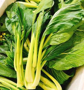连州迟菜心  |蔬菜