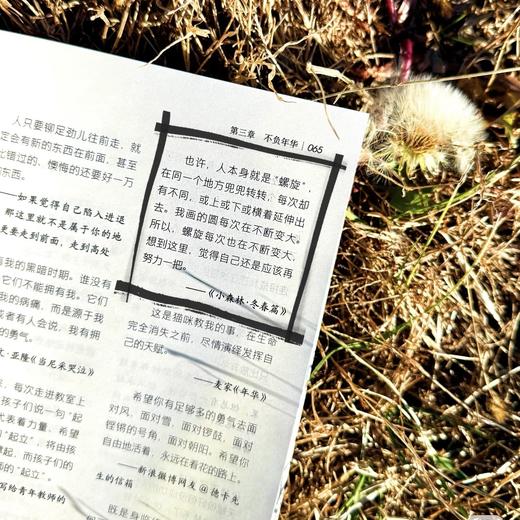 《读者·句子星球》人生箴言 一句顶一万句 读者出版社 商品图2