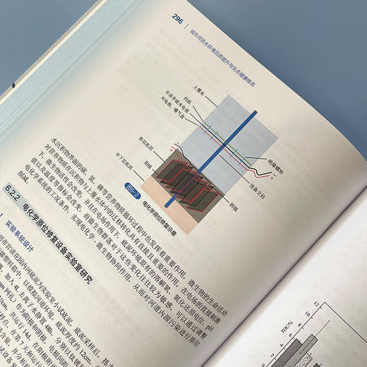 城市河流水环境品质提升与生态健康维系 商品图4