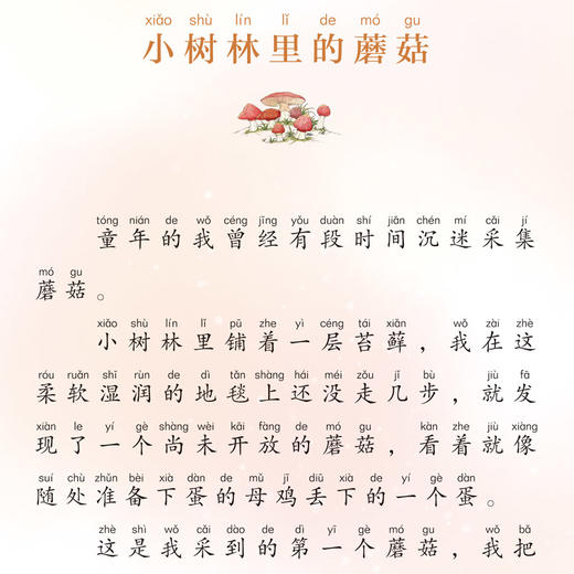 正版给孩子的昆虫记全套6册 小学生版彩绘注音版儿童版绘本青少年孩子读得懂的昆虫记带拼音一二年级三年级课外阅读书籍百科全书写 商品图2