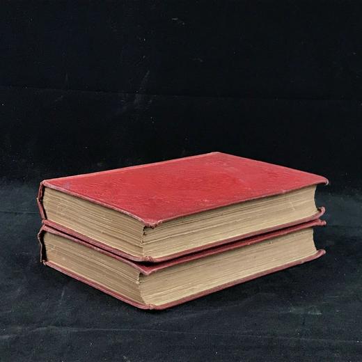 1861年 不列颠群岛鸟类图鉴（全2卷） 28页彩色52幅黑白插图 漆布精装32开 商品图1