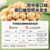 【1件减10，2件减20，售完不补！】西域美农 芥末脆皮夏威夷果仁500g  生产日期2025年12月25日，保质期6个月 商品缩略图1