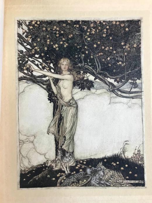 1914-30年 瓦格纳《尼伯龙根的指环》（全2卷） 鬼才拉克姆64幅彩色手工贴图 漆布精装16开 商品图9