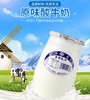 圣祥老北京原味酸奶180g*12支/箱 商品缩略图2