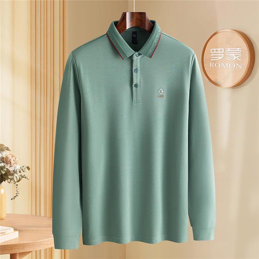 罗蒙秋冬男士加绒长袖Polo衫含羊毛蚕丝双面磨毛休闲百搭polo衫长袖t恤男 商品图2