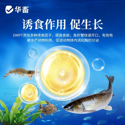 华畜食品级DMPT水产饲料添加剂诱食剂钓鱼饵料诱鱼剂钓鱼小药 商品图2