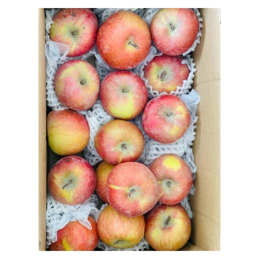 正宗新疆阿克苏冰糖心大苹果礼盒装7kg/箱新鲜当季 商品图6