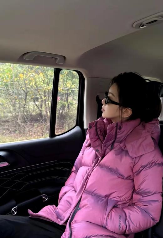 Lu*Lu原单品puff五格泡芙镭射鹅绒服轻三防可擦面料 商品图3