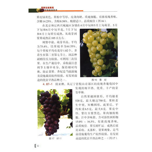 图解设施葡萄早熟栽培技术【官方正版，可开发票】 商品图7