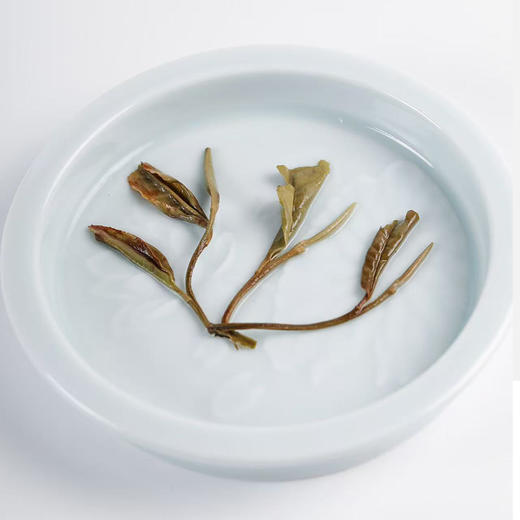 福鼎白茶 | 东南多奇2018年孔雀饼白牡丹300g/饼 商品图4