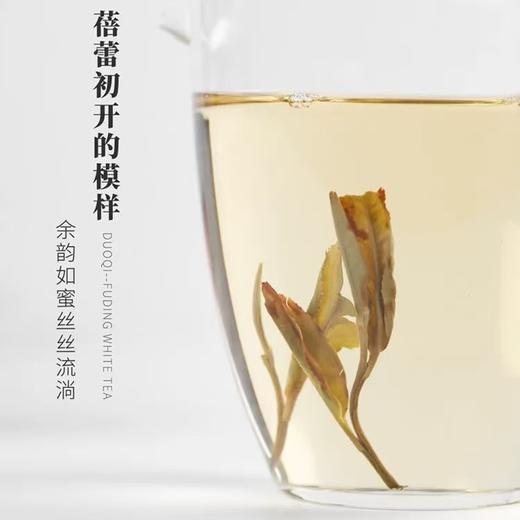 福鼎白茶 | 东南多奇2018年孔雀饼白牡丹300g/饼 商品图3