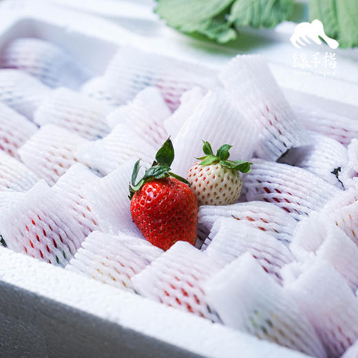 生态草莓 （浙江，买赠活动）|合作生产 * Ecological strawberry | Coproduction 商品图4
