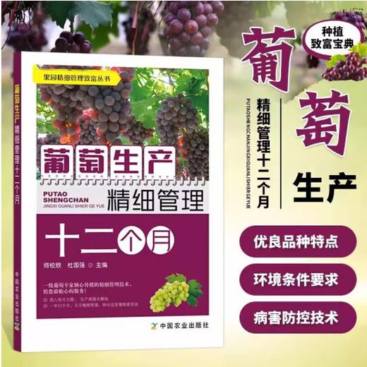 葡萄生产精细管理十二个月【官方正版，可开发票】 商品图0