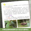 现代柠檬栽培彩色图说 【官方正版，可开发票，下单时留开票信息和电子邮箱】 商品缩略图3