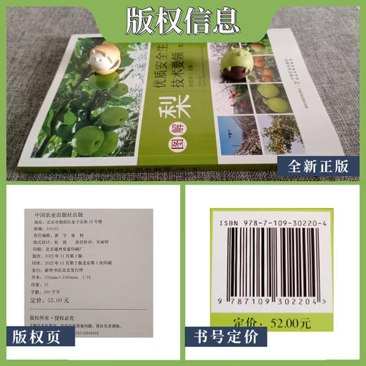 图解梨优质安全生产技术要领（第二版）【官方正版，可开发票，下单时留开票信息和电子邮箱】 商品图4