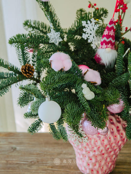 圣诞草莓花（粉草莓） 商品图2