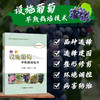 图解设施葡萄早熟栽培技术【官方正版，可开发票】 商品缩略图0