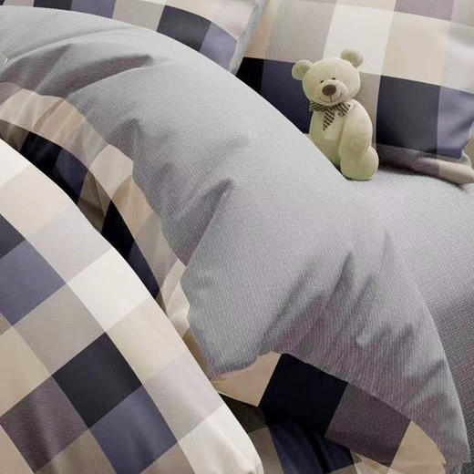 【多样屋专柜】伯克里-全棉四件套/200*230cm/SW 商品图5