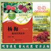 杨梅栽培实用技术【官方正版，可开发票，下单时留开票信息和电子邮箱】 商品缩略图0