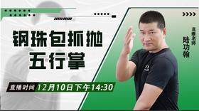 钢珠包抓抛、五行掌