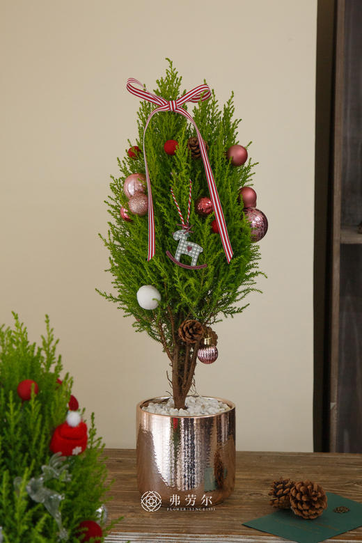 圣诞香松树中号（款式/颜色随机） 商品图3