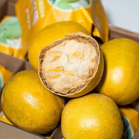 【茶饮精选】神果物语永福罗汉果 微波真空脱水工艺 非烘烤 不上火 更好保留罗汉果营养