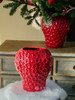 圣诞草莓花（红草莓） 商品缩略图6