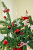 圣诞草莓花（红草莓） 商品缩略图5