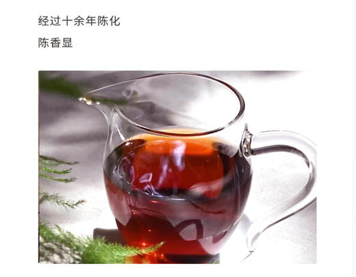 熟普 | 2009年 洪海古树 易武熟茶 357g/饼 商品图3