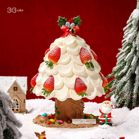 【圣诞季】圣诞树·初雪红颜，可选2磅