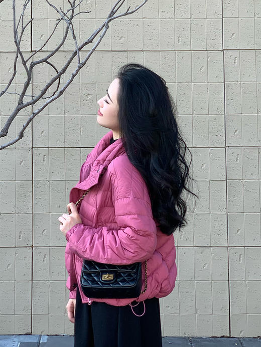 【百图lulu定制】【桃之夭夭羽绒服】夹克版型  拉链口袋 轻盈版90白鸭绒羽绒服 商品图3