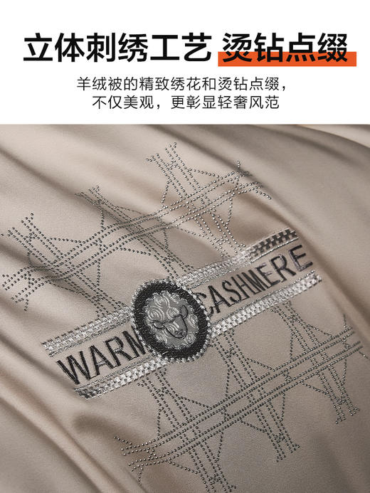 【专柜多样屋】克莉斯汀羊绒保暖冬被-浅驼/200*230cm 商品图4