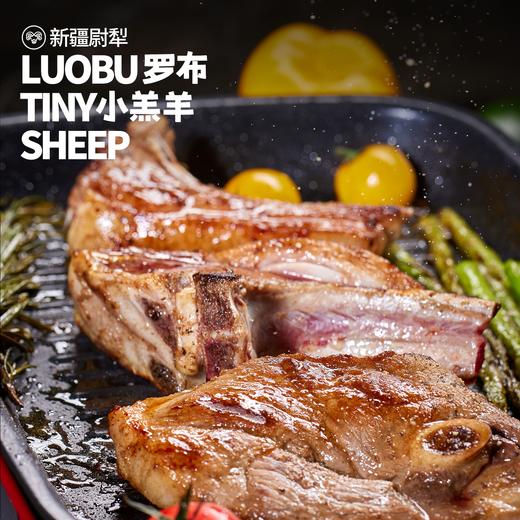 🐑新疆 · 尉犁 · 罗布小羊羔 · 不膻不腻 · 清水炖就很好吃 商品图0