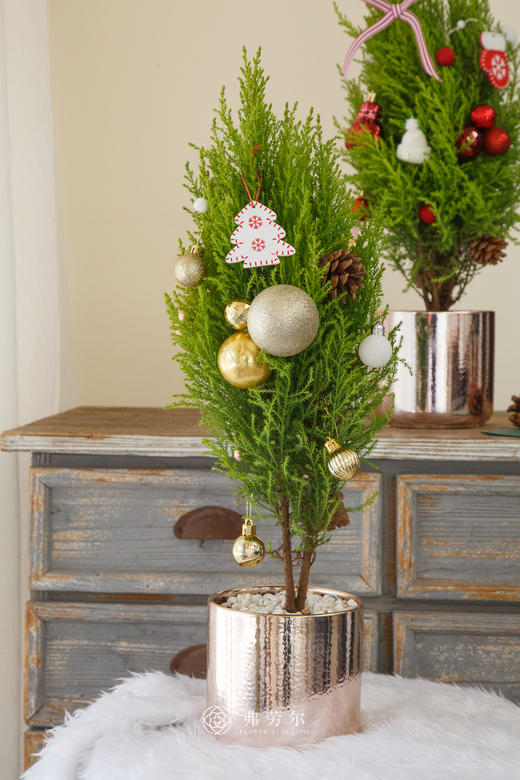 圣诞香松树中号（款式/颜色随机） 商品图5