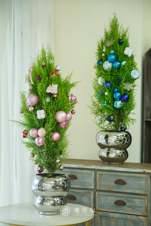 氛围感香松1.1m（颜色随机） 商品图4