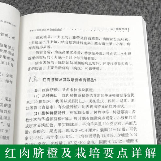 脐橙生产关键技术百问百答【官方正版，可开发票，下单时留开票信息和电子邮箱】 商品图3