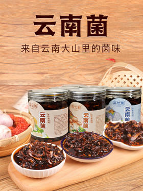 品七彩全新升级下饭菌     鸡枞菌/牛肝菌/松茸菌多种口味  脆嫩劲道 鲜香麻辣 零食解馋 下饭神器